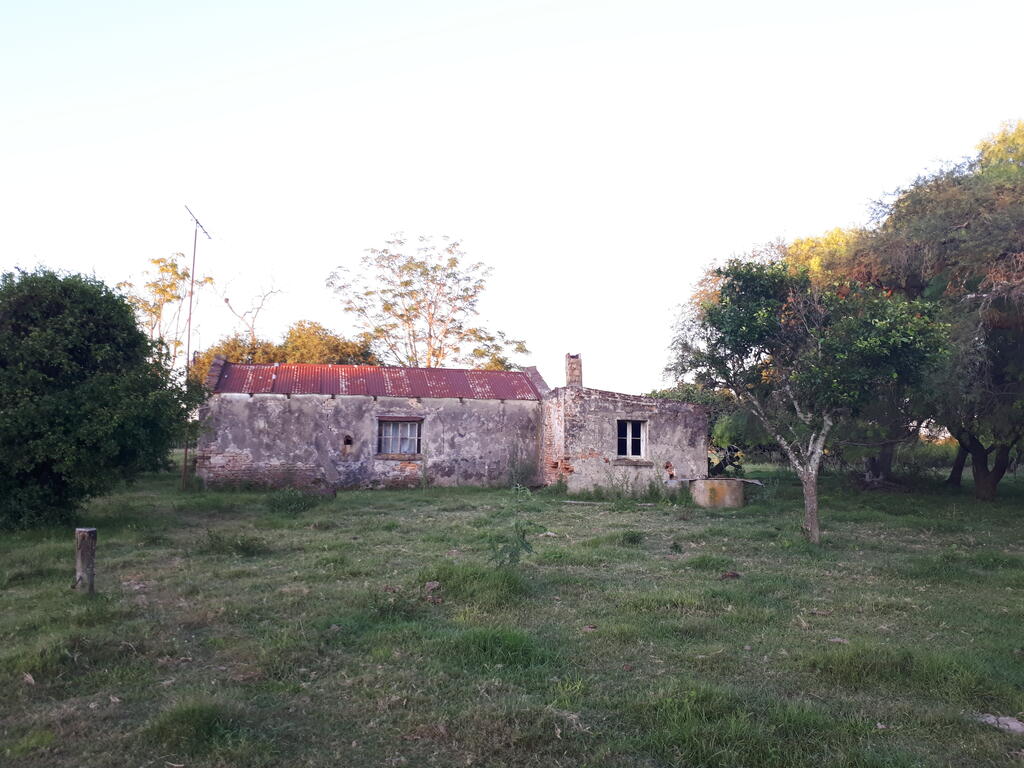 Lee más sobre el artículo El pasmao Puchalski