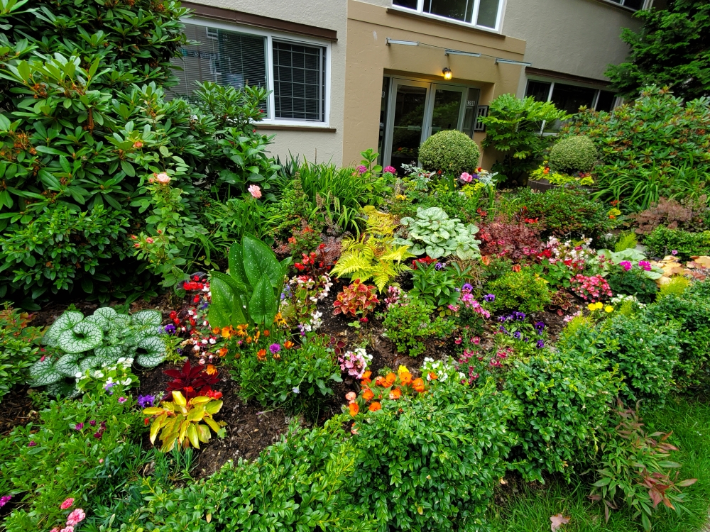 Lee más sobre el artículo 4 – Llegaste, Mantuano