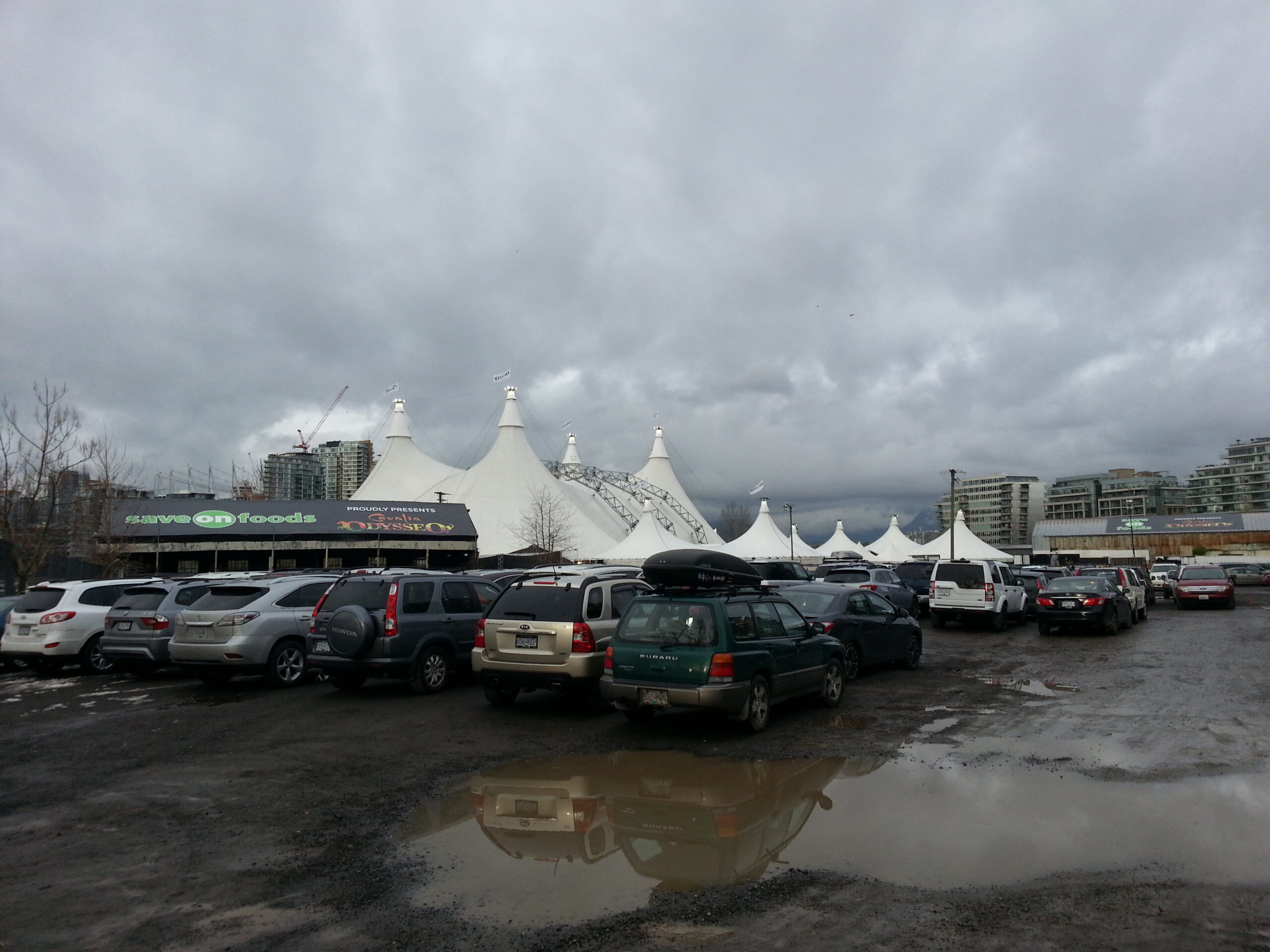 Lee más sobre el artículo 1 – La caída